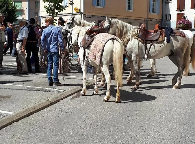 Les Mirabelles D'hotes B&B 시스트롱
