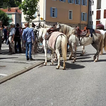 Les Mirabelles D'hotes Bed & Breakfast Sisteron