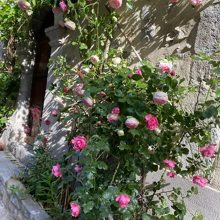 Oda ve Kahvaltı Les Mirabelles D'hotes 3*