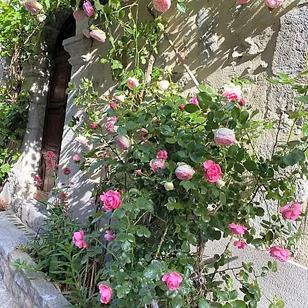 B&B Les Mirabelles D'hotes