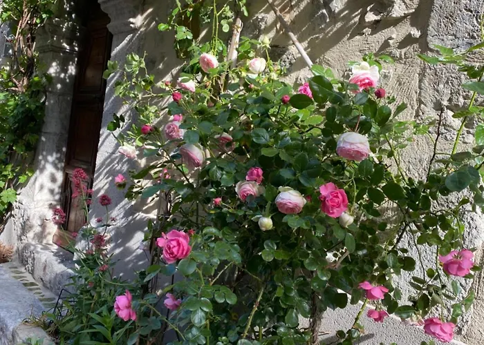 Couette-café Les Mirabelles D'hôtes 3*
